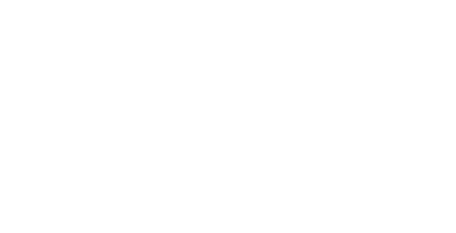 SpeedQuizzing